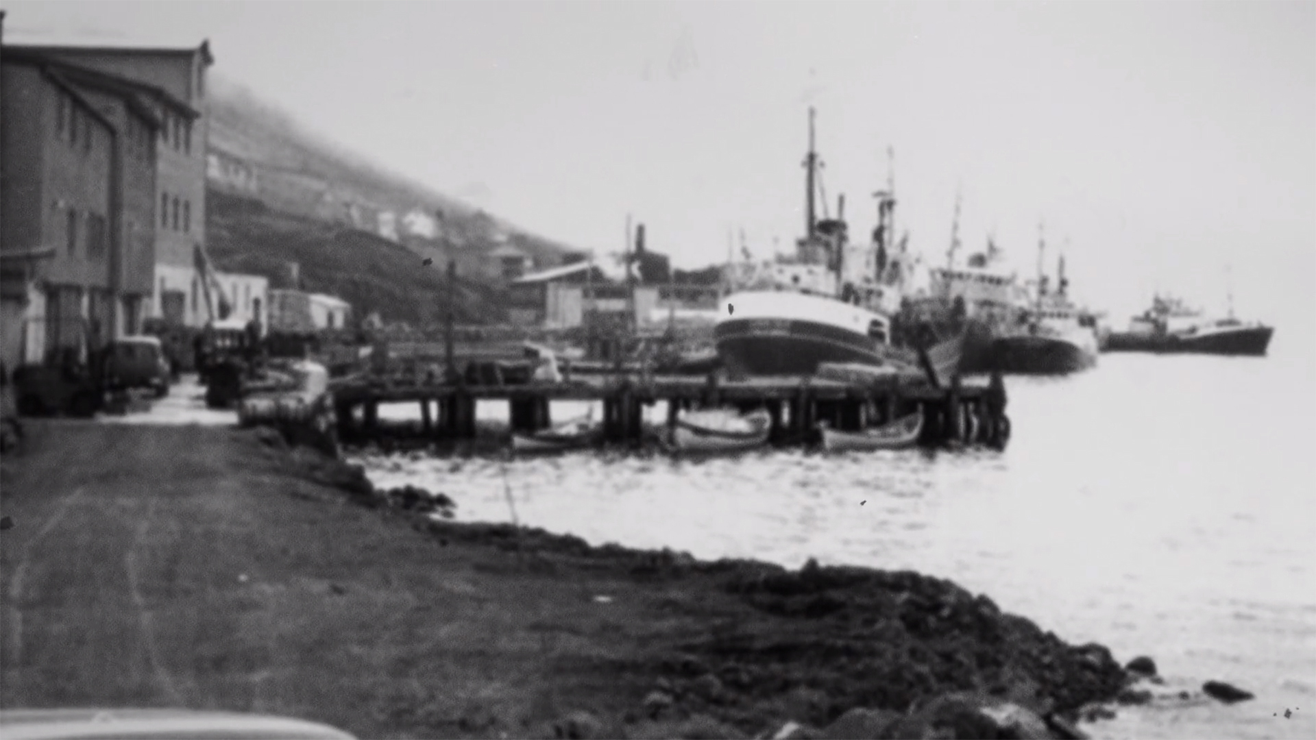 BAKKAFROST | Havsbrún fimti ár