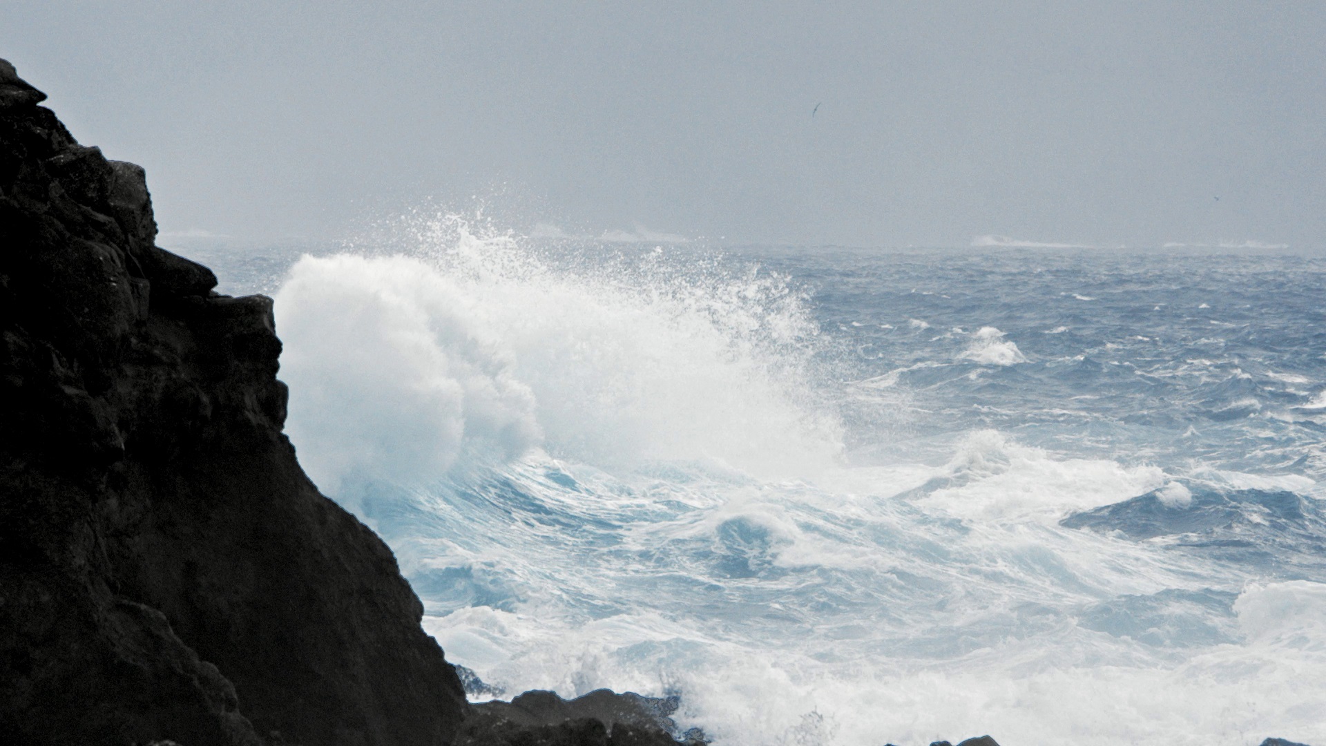 Slow motion footage was filmed to be used on the website; as background