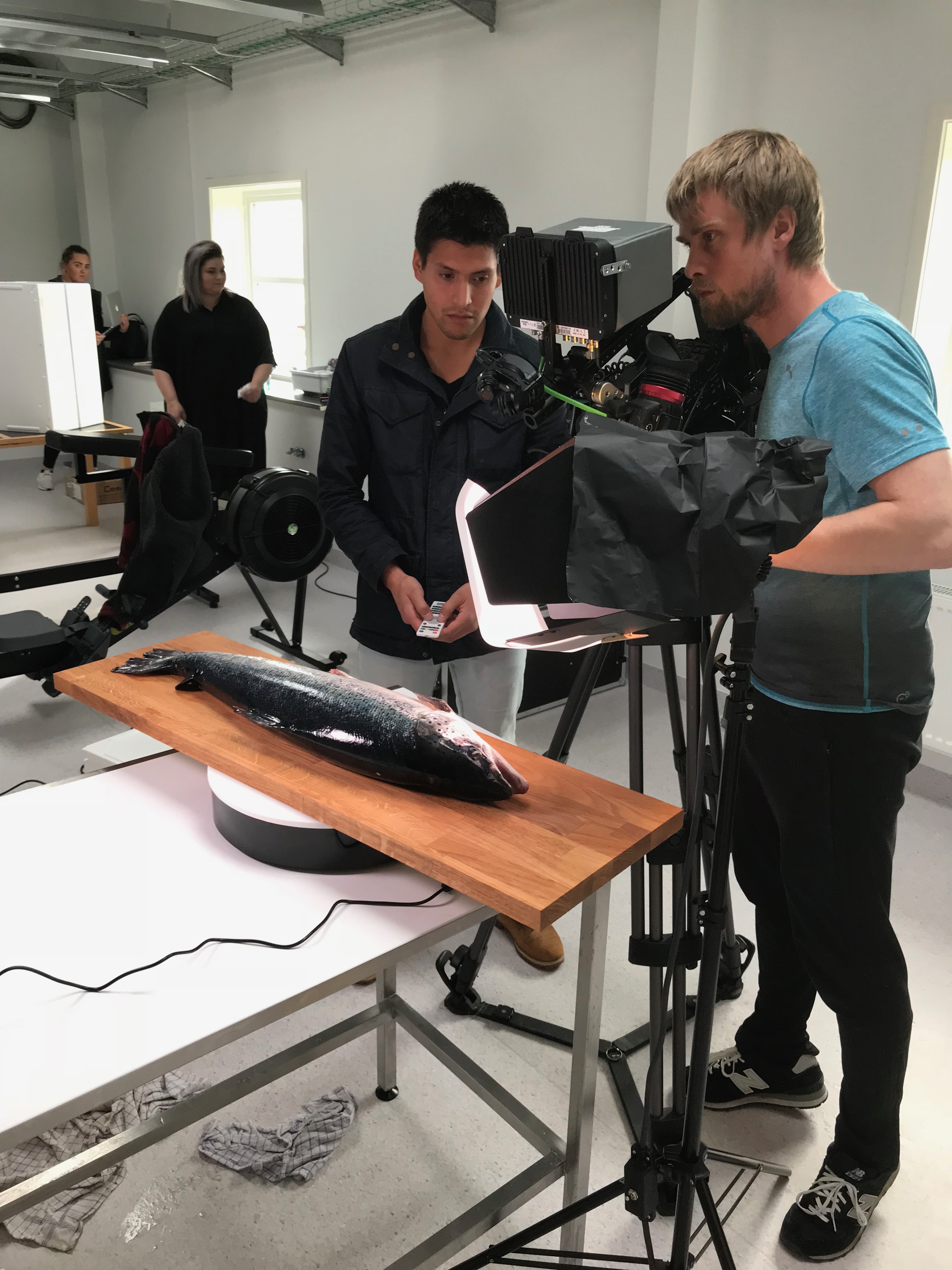 Sendistovan & Polar Films