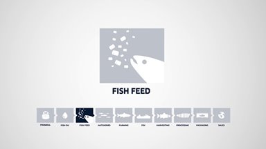 Fish feed