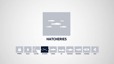 Hatcheries
