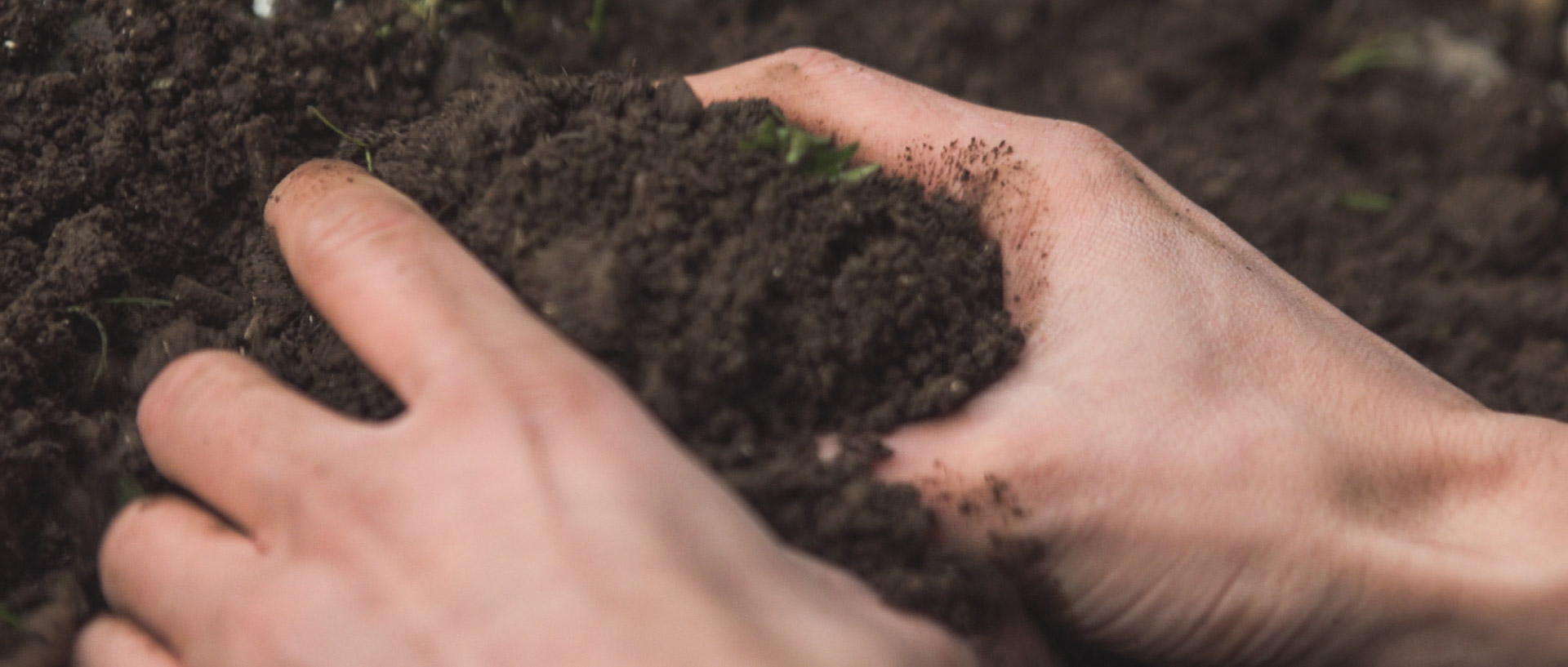 A flashback scene was planned, but later scrapped.