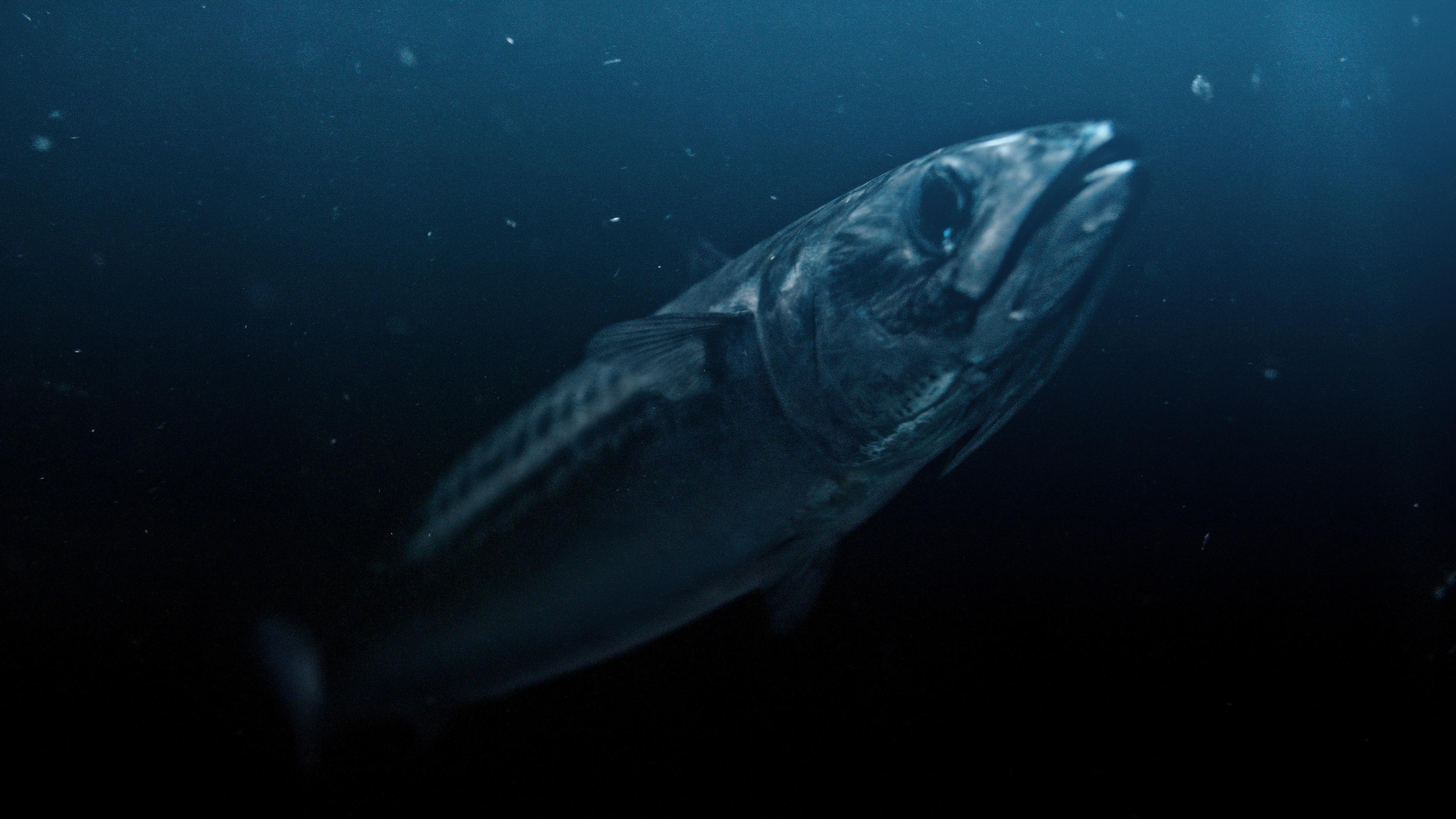 VARÐIN | Value Chain 2019